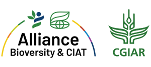 CIAT LOGO